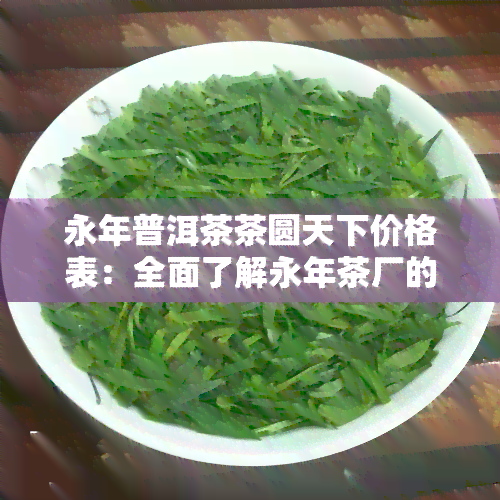 永年普洱茶茶圆天下价格表：全面了解永年茶厂的普洱茶及其评价