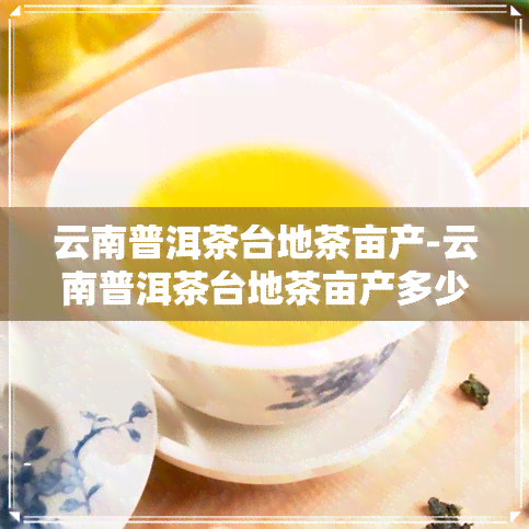 云南普洱茶台地茶亩产-云南普洱茶台地茶亩产多少斤