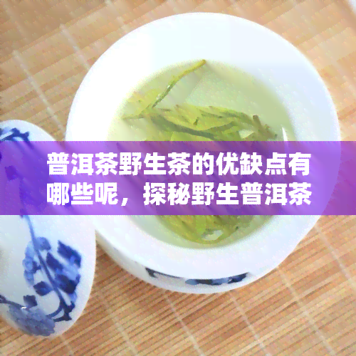 普洱茶野生茶的优缺点有哪些呢，探秘野生普洱茶：优缺点全解析