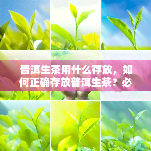 普洱生茶用什么存放，如何正确存放普洱生茶？必备的存方法和技巧