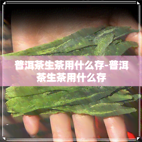 普洱茶生茶用什么存-普洱茶生茶用什么存