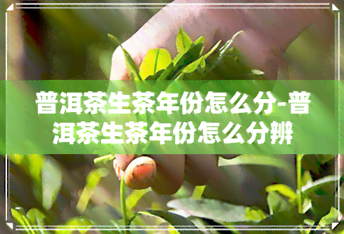 普洱茶生茶年份怎么分-普洱茶生茶年份怎么分辨