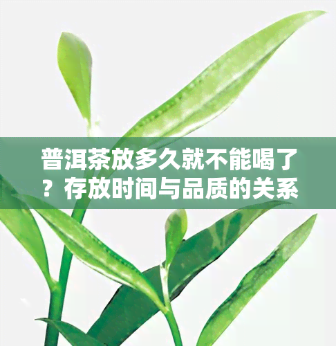 普洱茶放多久就不能喝了？存放时间与品质的关系解析