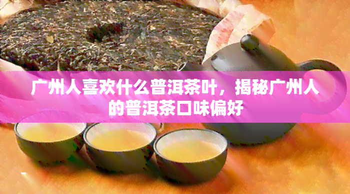 广州人喜欢什么普洱茶叶，揭秘广州人的普洱茶口味偏好