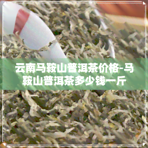 云南马鞍山普洱茶价格-马鞍山普洱茶多少钱一斤