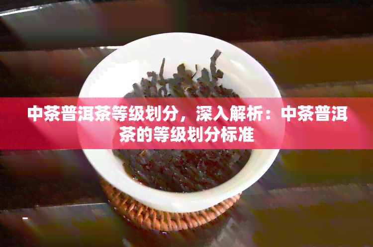 中茶普洱茶等级划分，深入解析：中茶普洱茶的等级划分标准