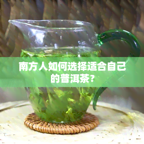 南方人如何选择适合自己的普洱茶？