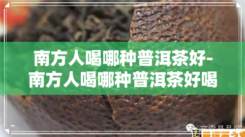 南方人喝哪种普洱茶好-南方人喝哪种普洱茶好喝