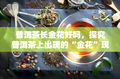 普洱茶长金花好吗，探究普洱茶上出现的“金花”现象：是否好？