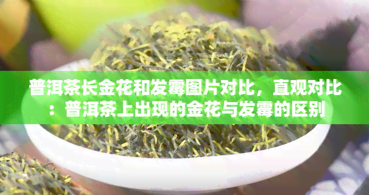 普洱茶长金花和发霉图片对比，直观对比：普洱茶上出现的金花与发霉的区别