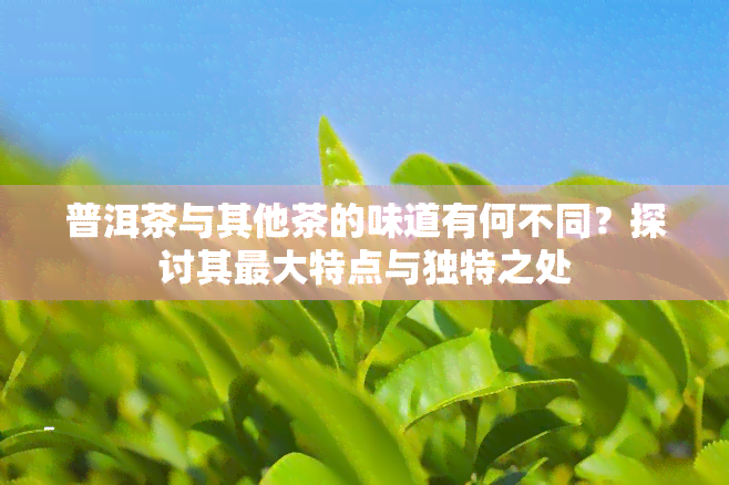 普洱茶与其他茶的味道有何不同？探讨其更大特点与独特之处