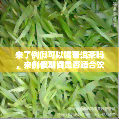 来了例假可以喝普洱茶吗，来例假期间是否适合饮用普洱茶？