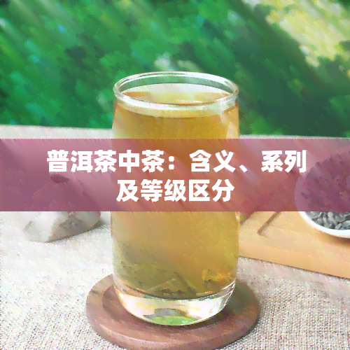 普洱茶中茶：含义、系列及等级区分