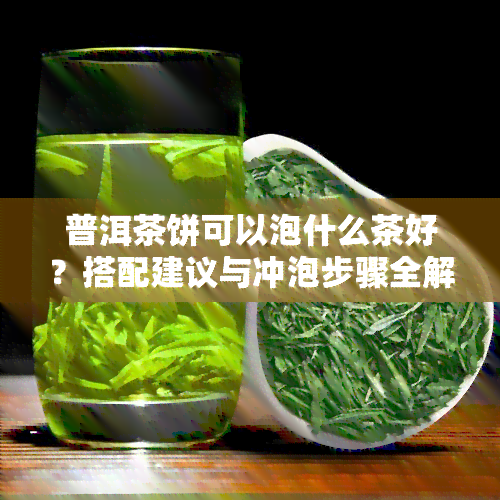 普洱茶饼可以泡什么茶好？搭配建议与冲泡步骤全解析