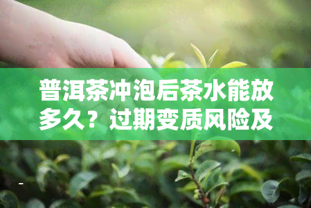 普洱茶冲泡后茶水能放多久？过期变质风险及保存期限解析