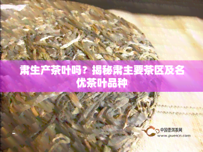 肃生产茶叶吗？揭秘肃主要茶区及名优茶叶品种