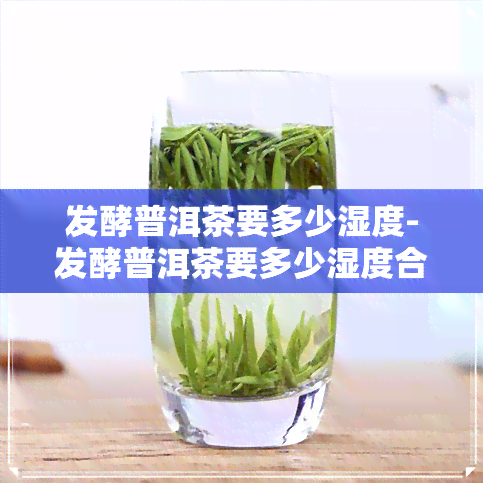 发酵普洱茶要多少湿度-发酵普洱茶要多少湿度合适