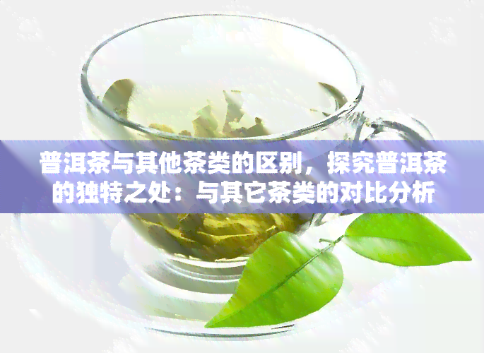 普洱茶与其他茶类的区别，探究普洱茶的独特之处：与其它茶类的对比分析