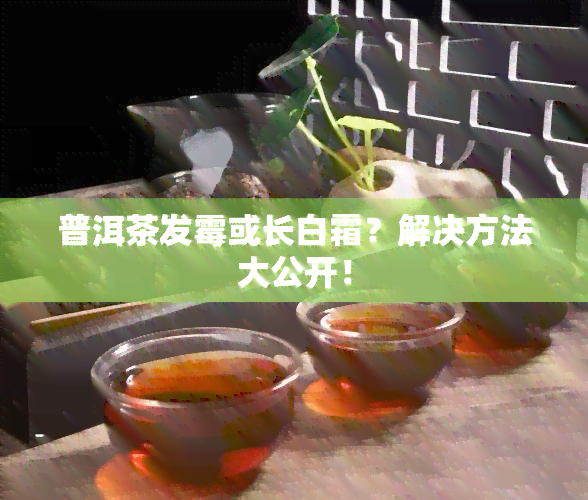 普洱茶发霉或长白霜？解决方法大公开！