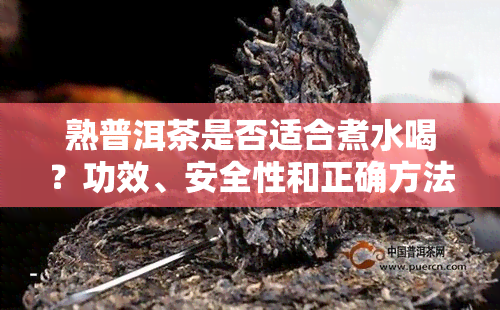 熟普洱茶是否适合煮水喝？功效、安全性和正确方法全面解析