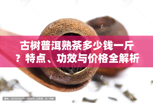 古树普洱熟茶多少钱一斤？特点、功效与价格全解析