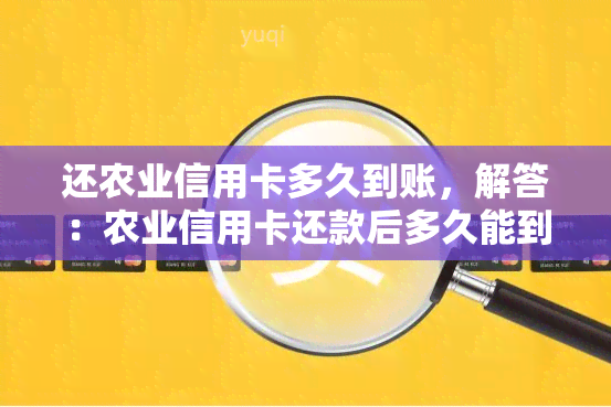 还农业信用卡多久到账，解答：农业信用卡还款后多久能到账？