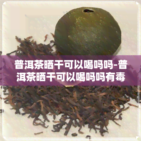 普洱茶晒干可以喝吗吗-普洱茶晒干可以喝吗吗有吗