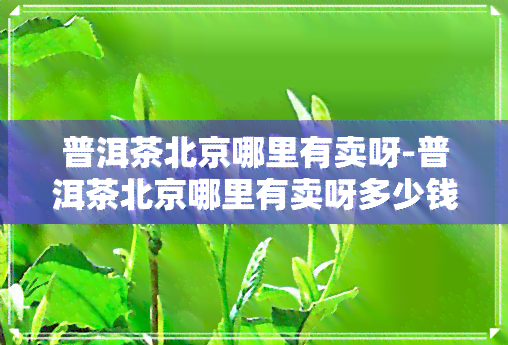 普洱茶北京哪里有卖呀-普洱茶北京哪里有卖呀多少钱