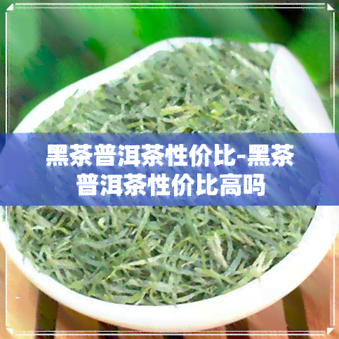 黑茶普洱茶性价比-黑茶普洱茶性价比高吗