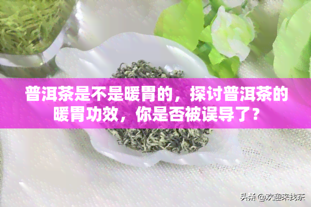 普洱茶是不是暖胃的，探讨普洱茶的暖胃功效，你是否被误导了？