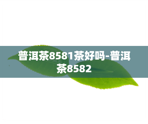 普洱茶8581茶好吗-普洱茶8582