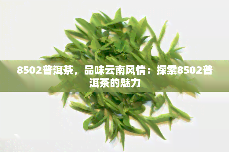 8502普洱茶，品味云南风情：探索8502普洱茶的魅力