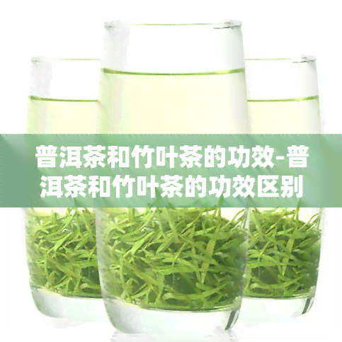 普洱茶和竹叶茶的功效-普洱茶和竹叶茶的功效区别