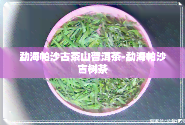 勐海帕沙古茶山普洱茶-勐海帕沙古树茶