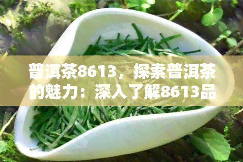 普洱茶8613，探索普洱茶的魅力：深入了解8613品种