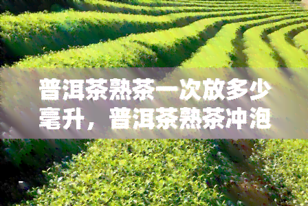 普洱茶熟茶一次放多少毫升，普洱茶熟茶冲泡指南：一次应放多少毫升？