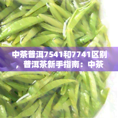 中茶普洱7541和7741区别，普洱茶新手指南：中茶7541与7741的区别解析