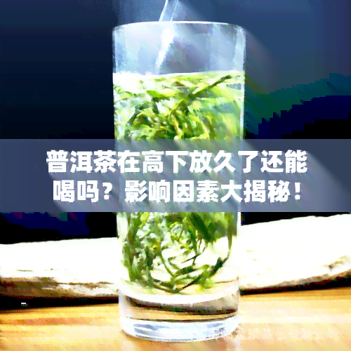 普洱茶在高下放久了还能喝吗？影响因素大揭秘！