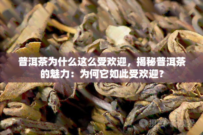 普洱茶为什么这么受欢迎，揭秘普洱茶的魅力：为何它如此受欢迎？