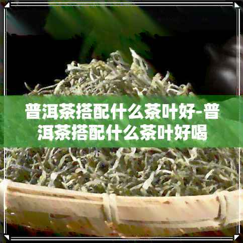 普洱茶搭配什么茶叶好-普洱茶搭配什么茶叶好喝