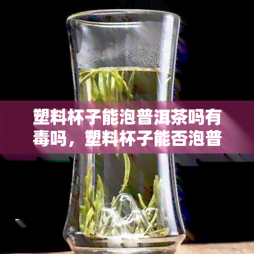 塑料杯子能泡普洱茶吗有吗，塑料杯子能否泡普洱茶？是否存在性风险？