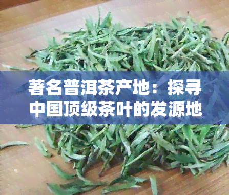 著名普洱茶产地：探寻中国顶级茶叶的发源地