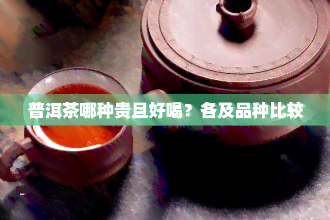 普洱茶哪种贵且好喝？各及品种比较