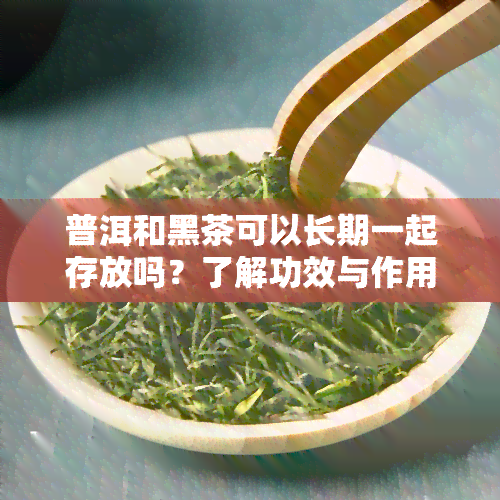 普洱和黑茶可以长期一起存放吗？了解功效与作用