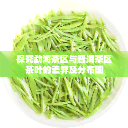 探究勐海茶区与普洱茶区茶叶的差异及分布图