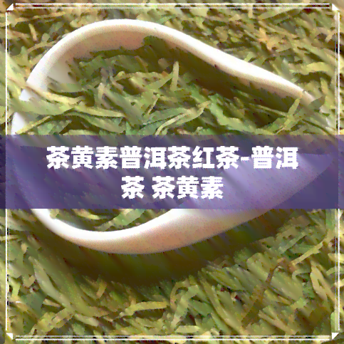 茶黄素普洱茶红茶-普洱茶 茶黄素