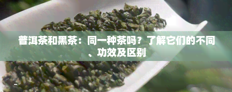 普洱茶和黑茶：同一种茶吗？了解它们的不同、功效及区别