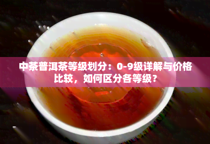 中茶普洱茶等级划分：0-9级详解与价格比较，如何区分各等级？