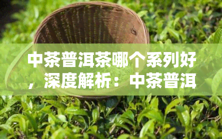 中茶普洱茶哪个系列好，深度解析：中茶普洱茶各系列的优缺点，哪一款更适合你？