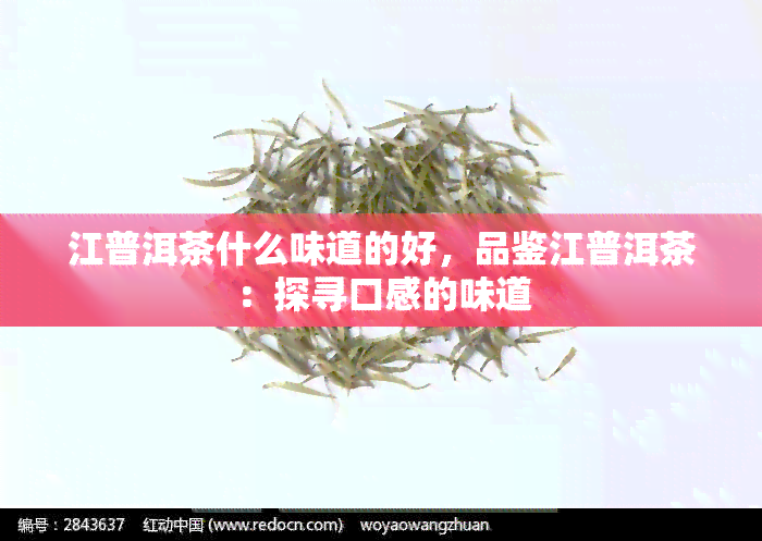 江普洱茶什么味道的好，品鉴江普洱茶：探寻口感的味道